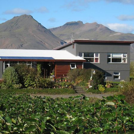 Dilksnes Guesthouse Хофн Экстерьер фото